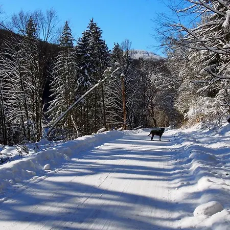 Talula - Sauerland Mit Hund Apartamento Medebach