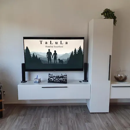 Daire Talula - Sauerland Mit Hund Medebach