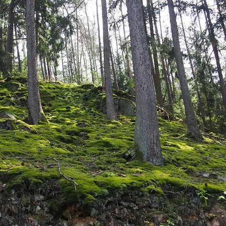 Talula - Sauerland Mit Hund * Medebach