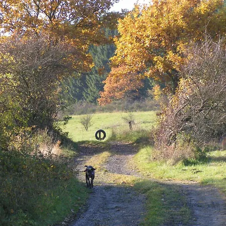 Talula - Sauerland Mit Hund Apartamento Medebach