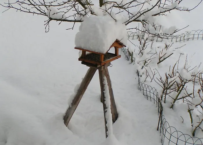 Talula - Sauerland Mit Hund アパート