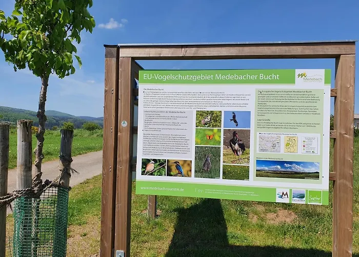 Talula - Sauerland Mit Hund アパート *