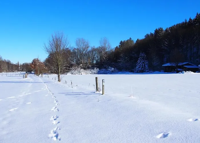 アパート Talula - Sauerland Mit Hund メーデバッハ