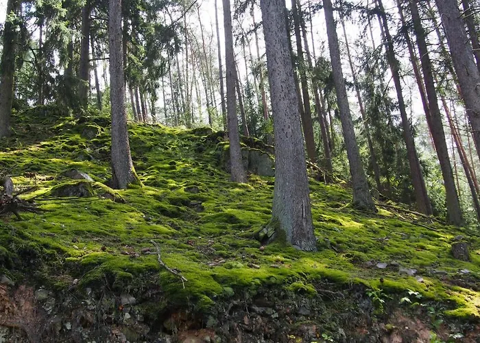 Talula - Sauerland Mit Hund * メーデバッハ