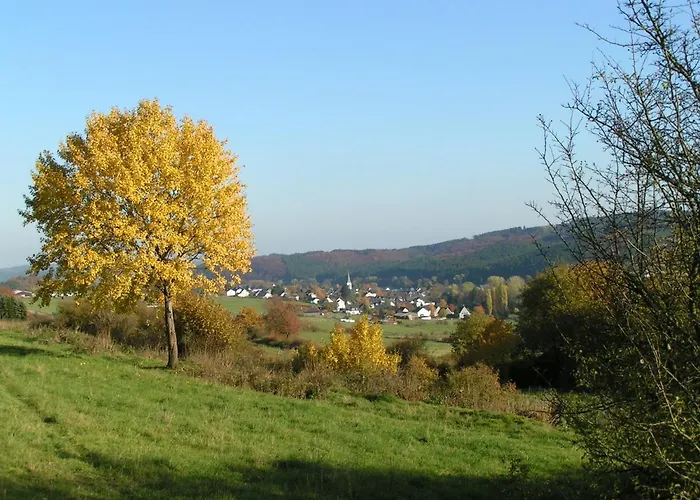 Talula - Sauerland Mit Hund