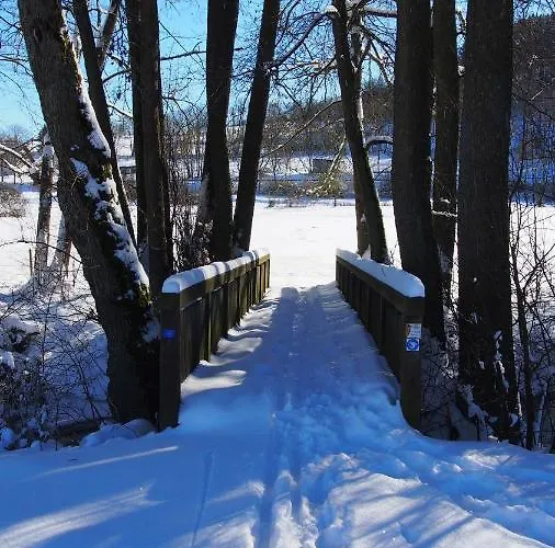 Talula - Sauerland Mit Hund *