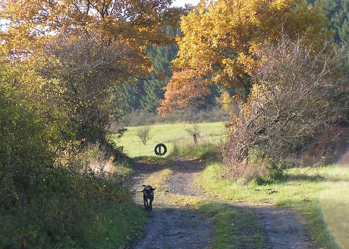 Talula - Sauerland Mit Hund アパート メーデバッハ